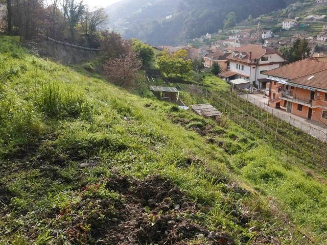 Terreno in vendita a Soldano IM