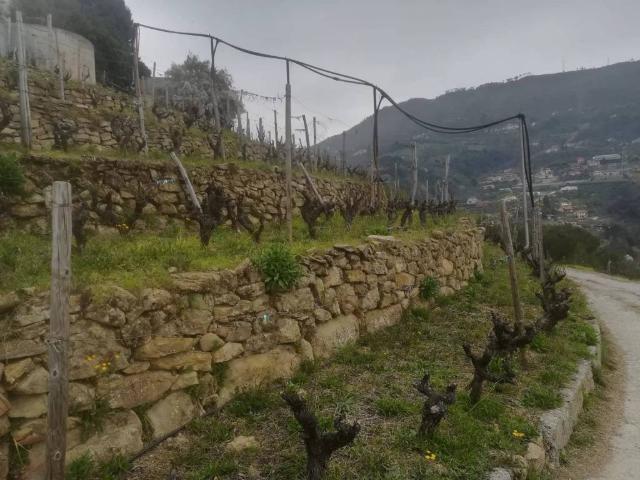 Terreno in vendita a Soldano IM