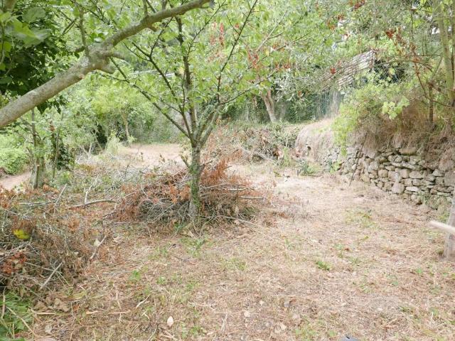 Terreno in vendita a Soldano IM