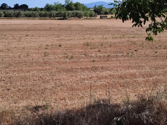 Terreno in vendita a Sorano GR