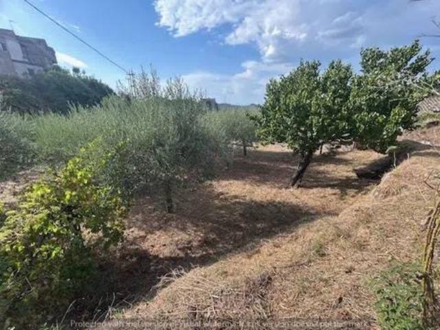 Terreno in vendita a Soriano nel Cimino VT
