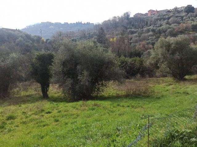 Terreno in vendita a Soriano nel Cimino VT