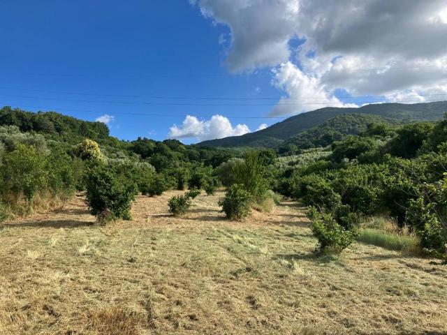 Terreno in vendita a Soriano nel Cimino VT