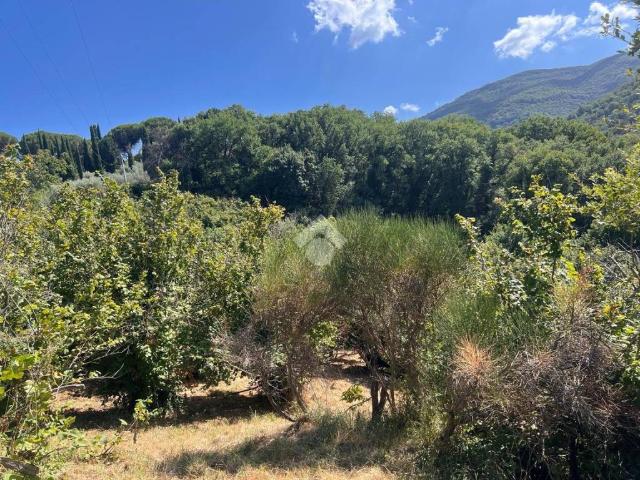 Terreno in vendita a Soriano nel Cimino VT