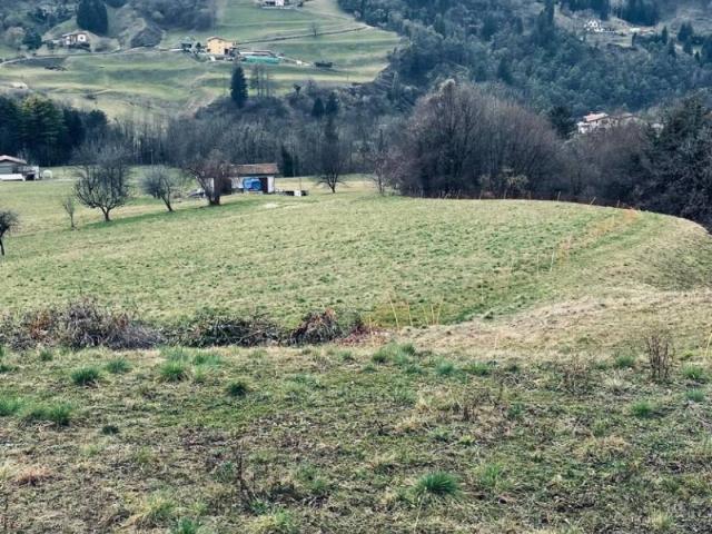 Terreno in vendita a Sovere BG