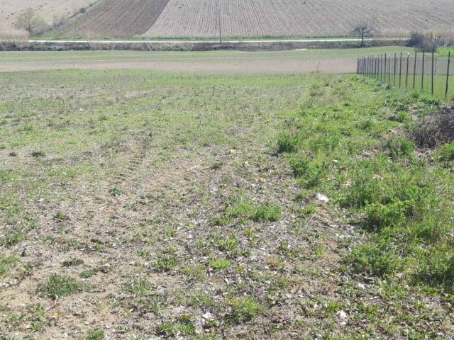 Terreno in vendita a Spoleto PG
