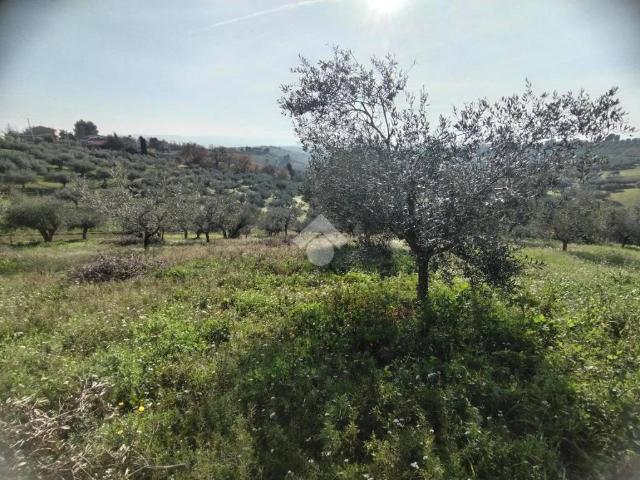 Terreno in vendita a Spoltore PE