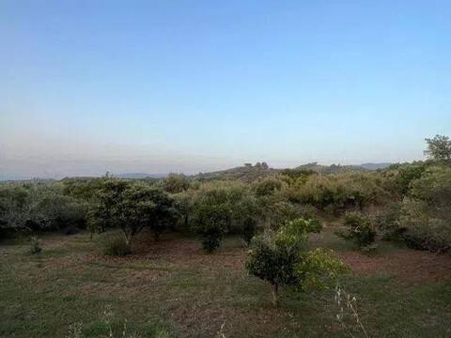 Terreno in vendita a Spadafora ME