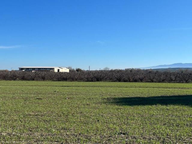 Terreno in vendita a Spezzano Albanese CS