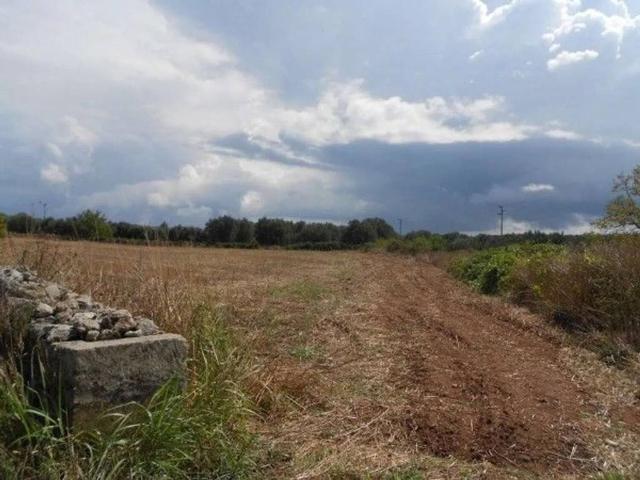 Terreno in vendita a Specchia LE