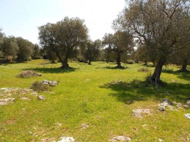 Terreno in vendita a Specchia LE