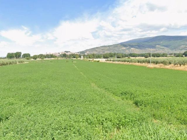 Terreno in vendita a Spello PG