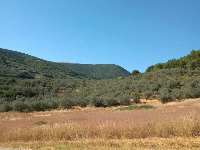 Terreno in vendita a Spello PG