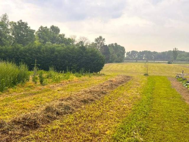 Terreno in vendita a Spinea VE