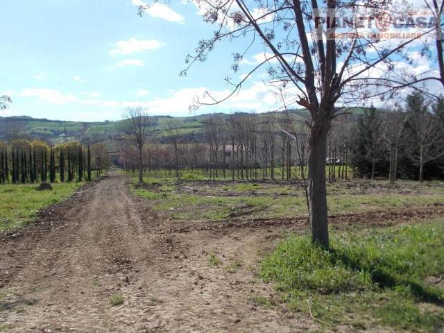 Terreno in vendita a Spinetoli AP