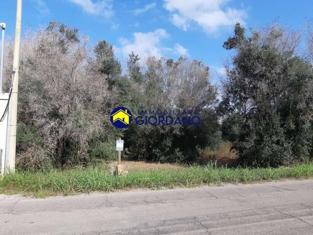 Terreno in vendita a Squinzano LE