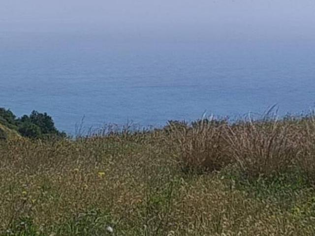 Terreno in vendita a Stalettì CZ