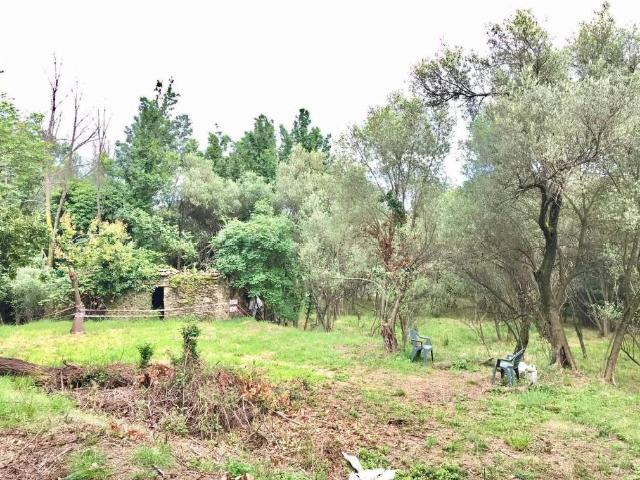 Terreno in vendita a Stella SV