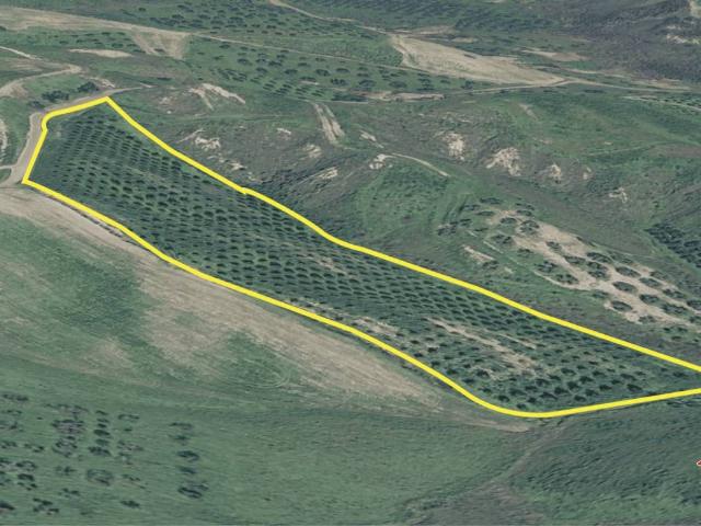 Terreno in vendita a Stignano RC