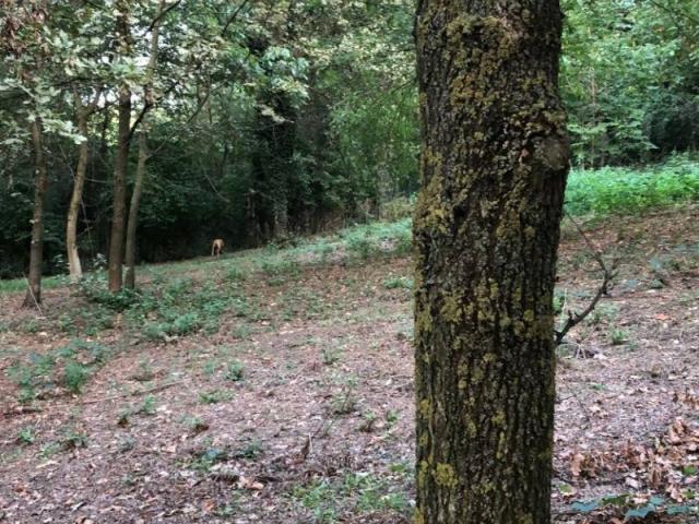 Terreno in vendita a Stradella PV