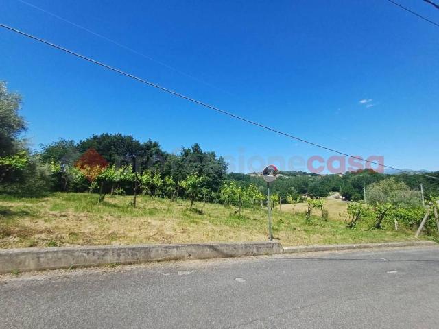 Terreno in vendita a Strangolagalli FR