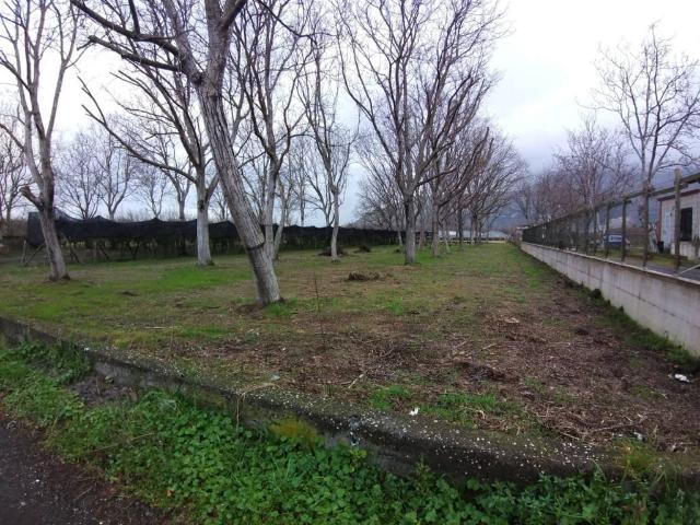 Terreno in vendita a Striano NA