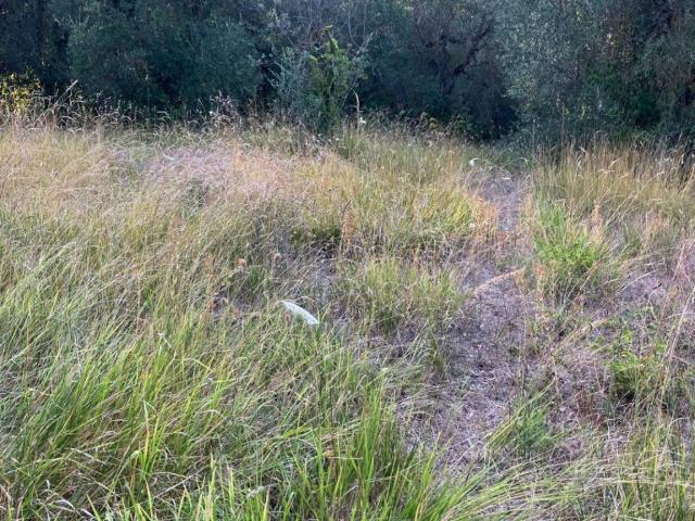 Terreno in vendita a Stroncone TR