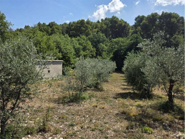 Terreno in vendita a Stroncone TR