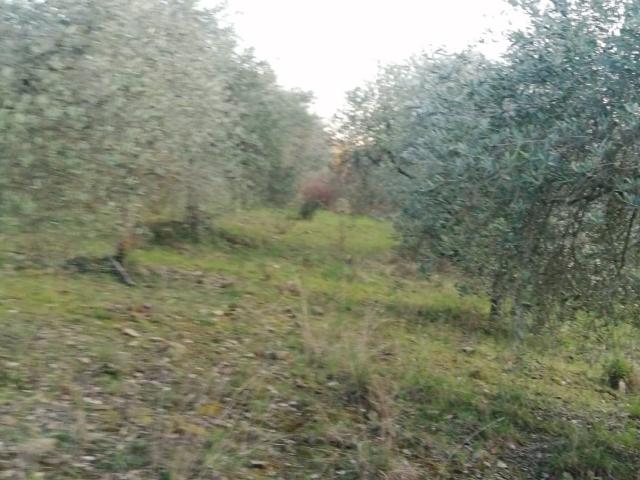 Terreno in vendita a Subbiano