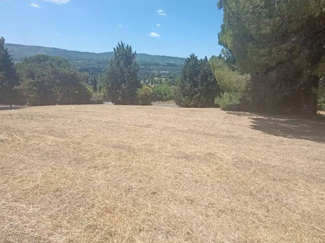 Terreno in vendita a Sutri VT