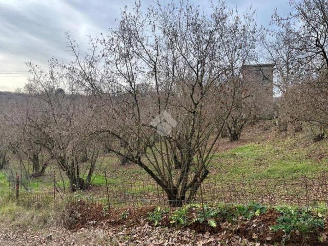 Terreno in vendita a Sutri VT