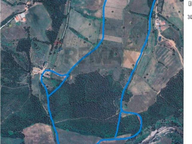 Terreno in vendita a Suvereto LI