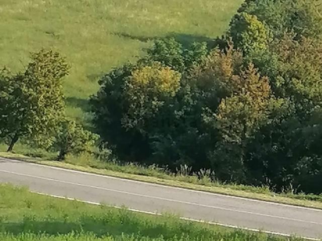 Terreno in vendita di 10500 m²