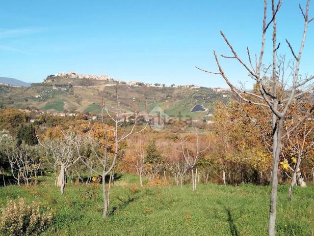Terreno in vendita di 10500 m² in Via Leandro