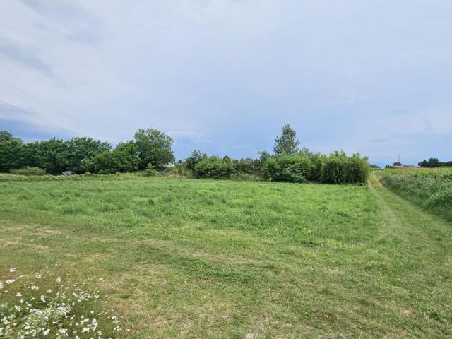 Terreno in vendita di 10500 m² in Via Vigasio