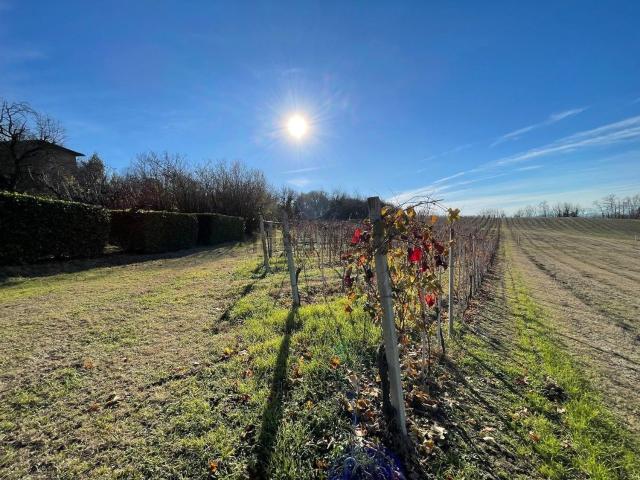 Terreno in vendita di 10500 m² in Strada SP39, 1