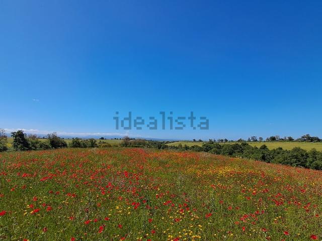 Terreno in vendita di 10500 m² in Strada Trinità