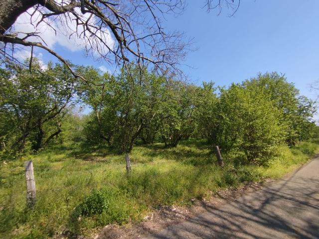 Terreno in vendita di 10530 m² in Via 1920, 120
