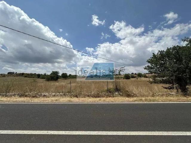 Terreno in vendita di 10530 m² in Strada Provinciale 80