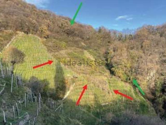 Terreno in vendita di 10601 m² in Via San Giorgio
