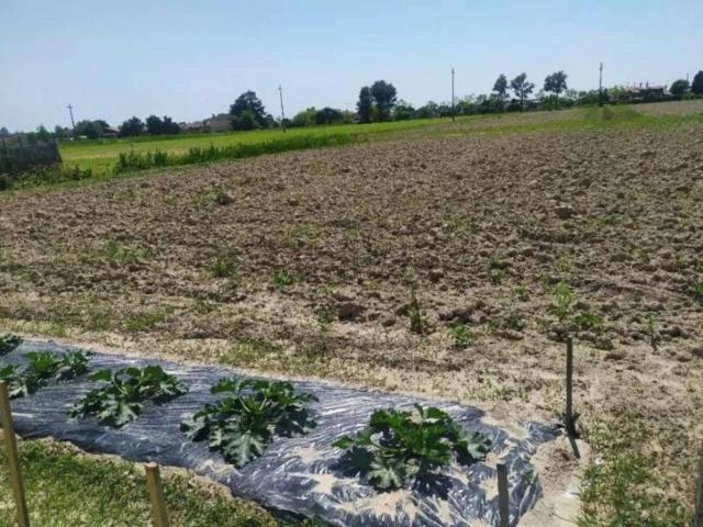 Terreno in vendita di 10616 m² in Via Piveran