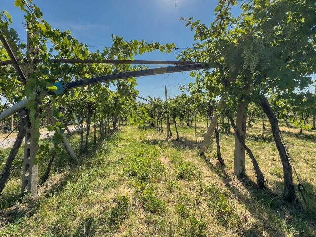 Terreno in vendita di 10707 m²