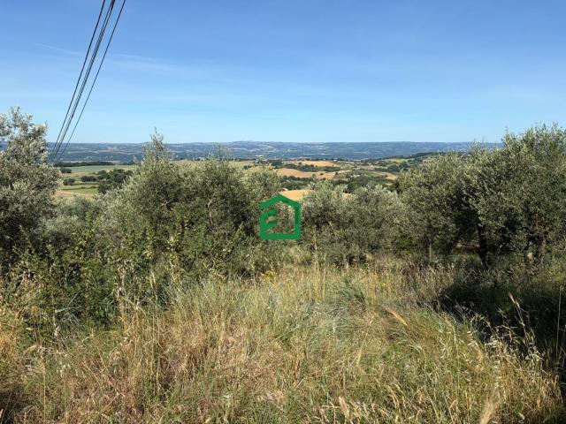 Terreno in vendita di 1070 m² in Via Carlo Alberto