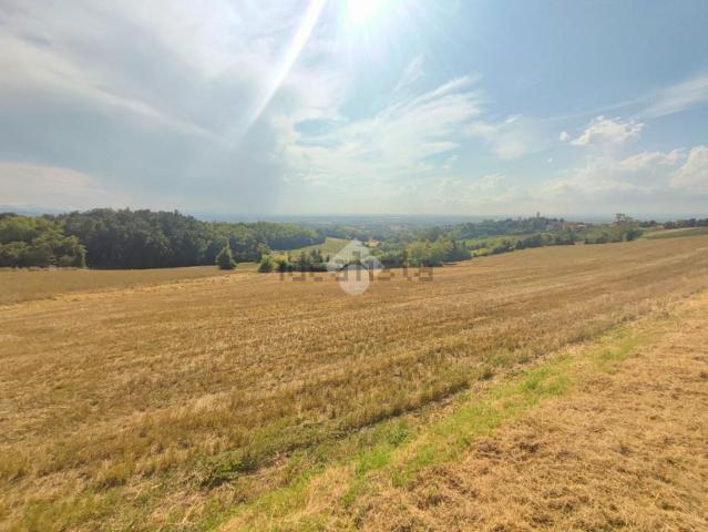 Terreno in vendita di 10745 m² in Via Al Piano