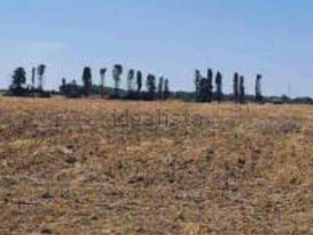 Terreno in vendita di 107824 m² in Contrada Santa Teresa