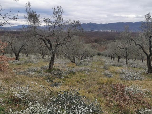 Terreno in vendita di 10800 m² in Via Montecalvo di Sotto
