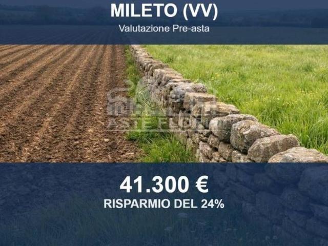 Terreno in vendita di 10802 m² in Località Dottolella