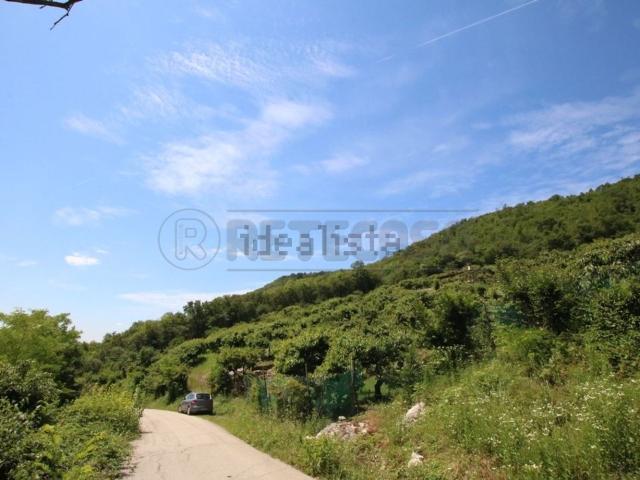Terreno in vendita di 10806 m² in Via Castellaro