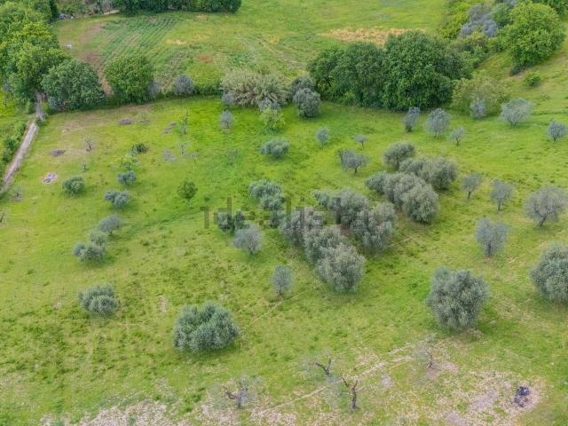 Terreno in vendita di 10845 m² in Via della Rocca