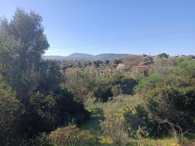 Terreno in vendita di 10846 m²